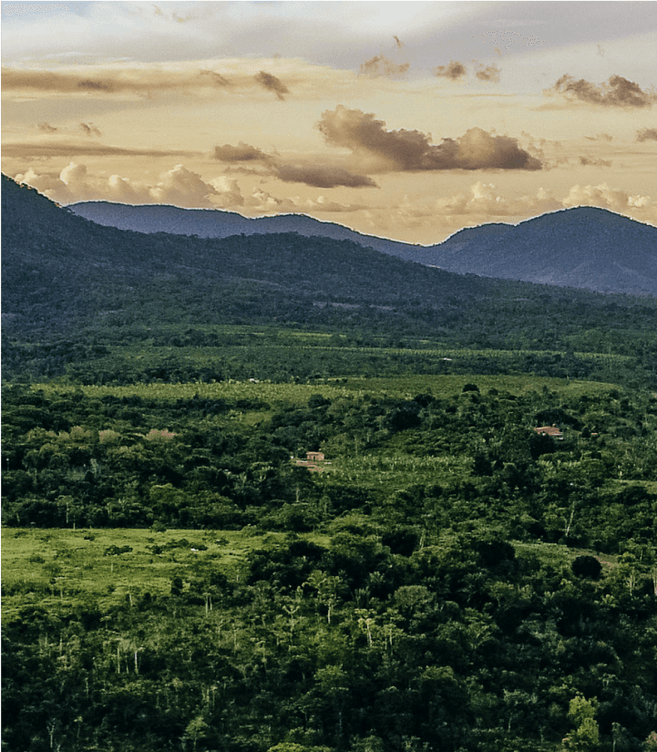 Bahia